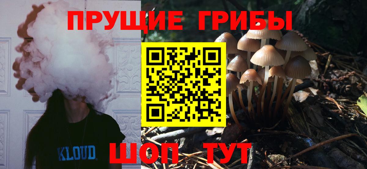 Псилоцибиновые грибы Cubensis Аргун